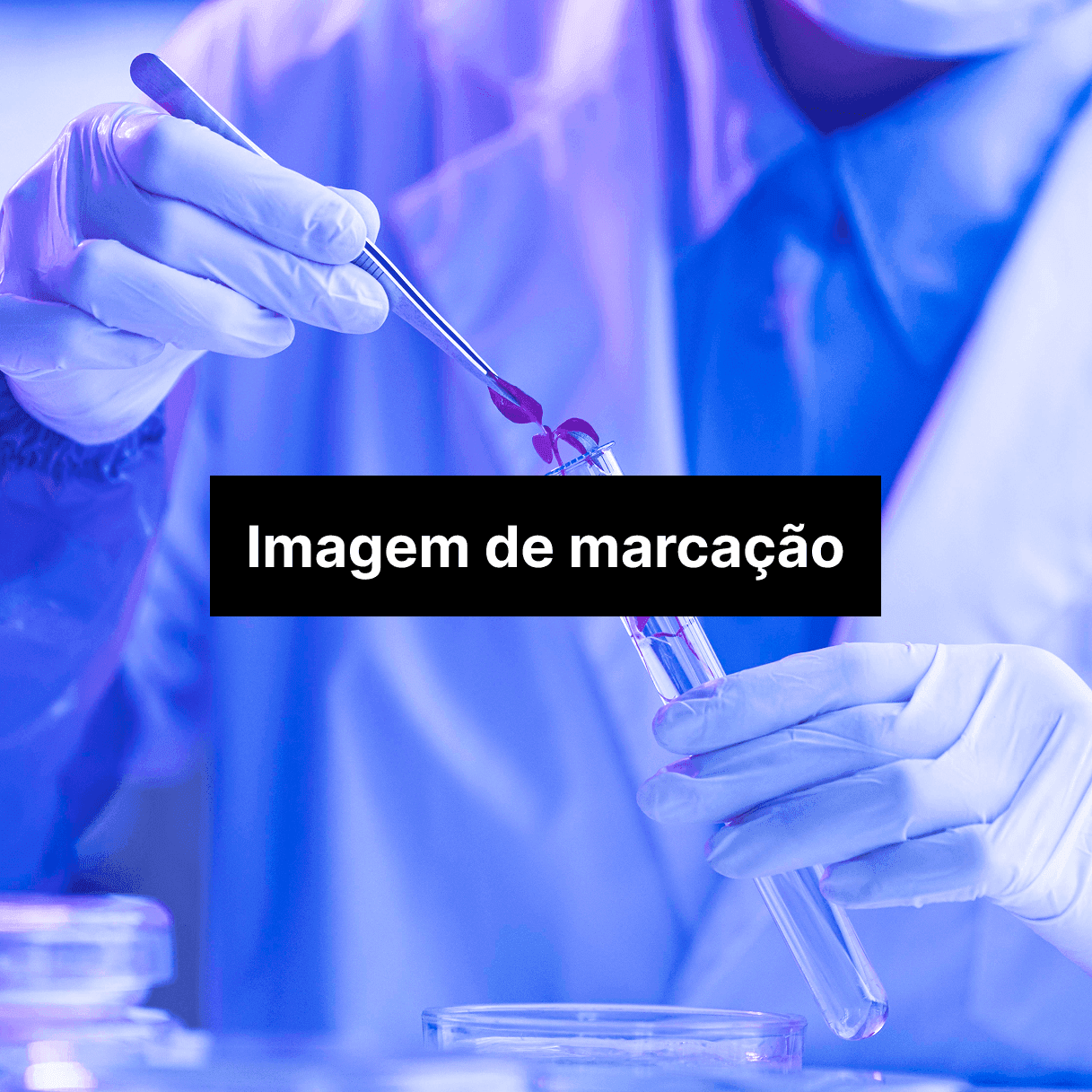 Profissionais comprometidos, com qualificação técnica excepcional e verdadeiramente envolvidos com o cliente.